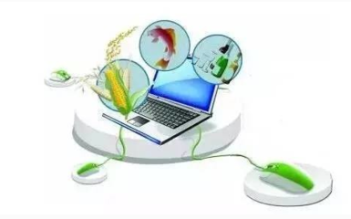 农产品电商解决方案 开启高效、可持续的电子商务经营新篇章