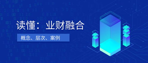 软件服务 数字化转型的引擎与未来趋势